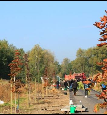 30 trees for Purmo's 30th anniversary bicycle patch Rybnik