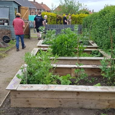 Children's Foundation allotment project after