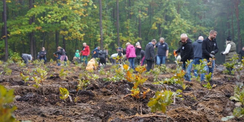 Tree planting with Purmo Poland for a green future