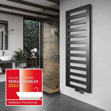 Rasp designer towel radiator won award as 'radiateur fonctionnel'