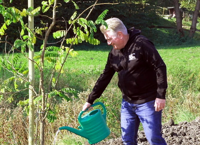 Planting trees